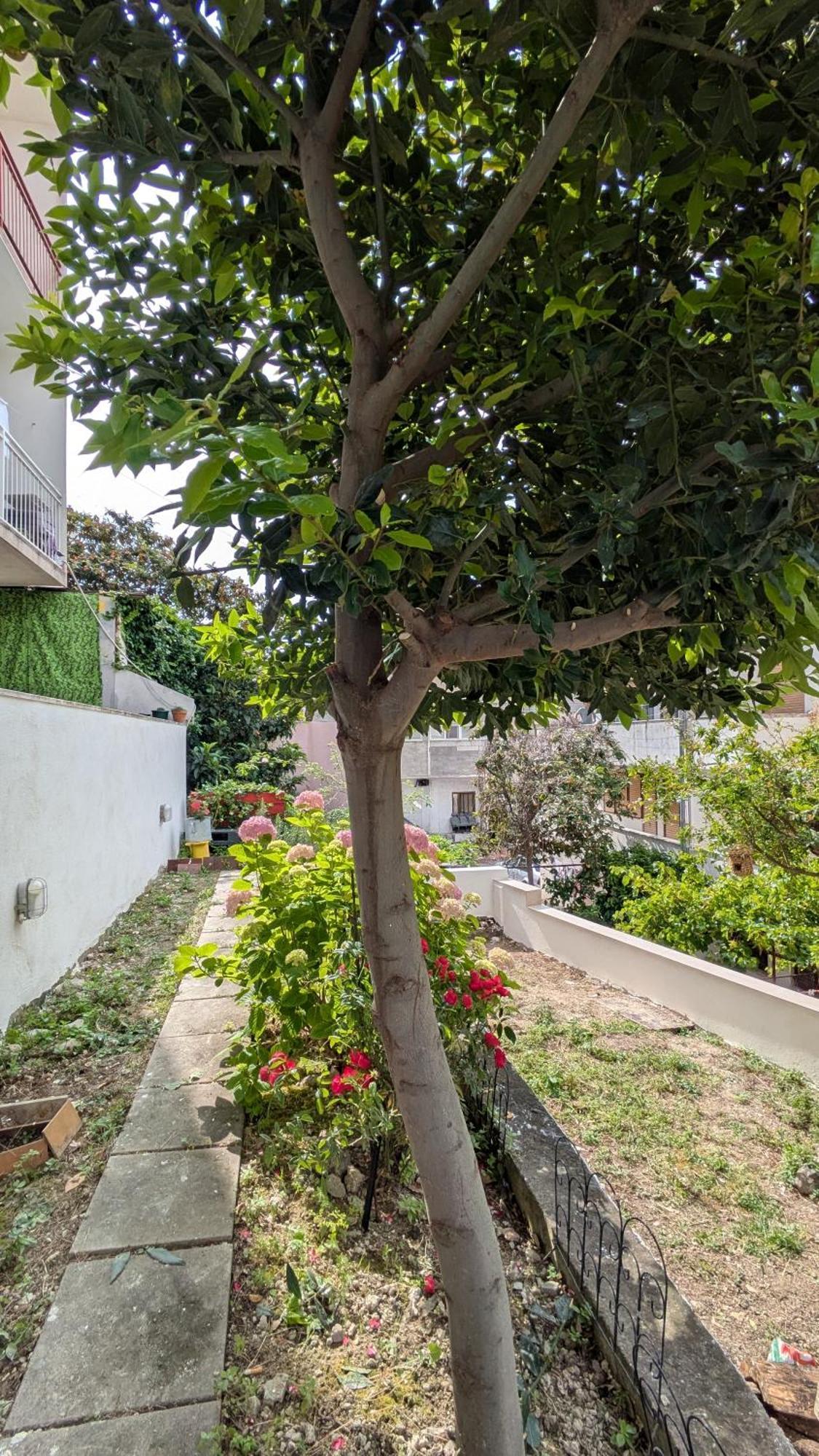 Misho Apartment With Terrace Сплит Екстериор снимка